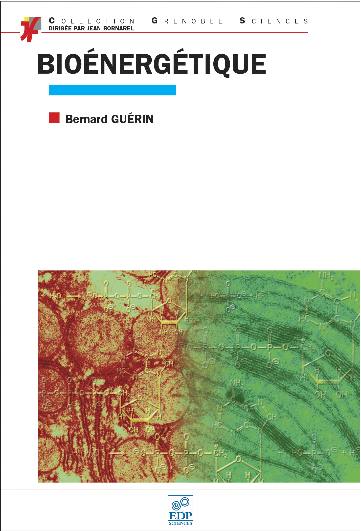 Couverture Bioénergétique