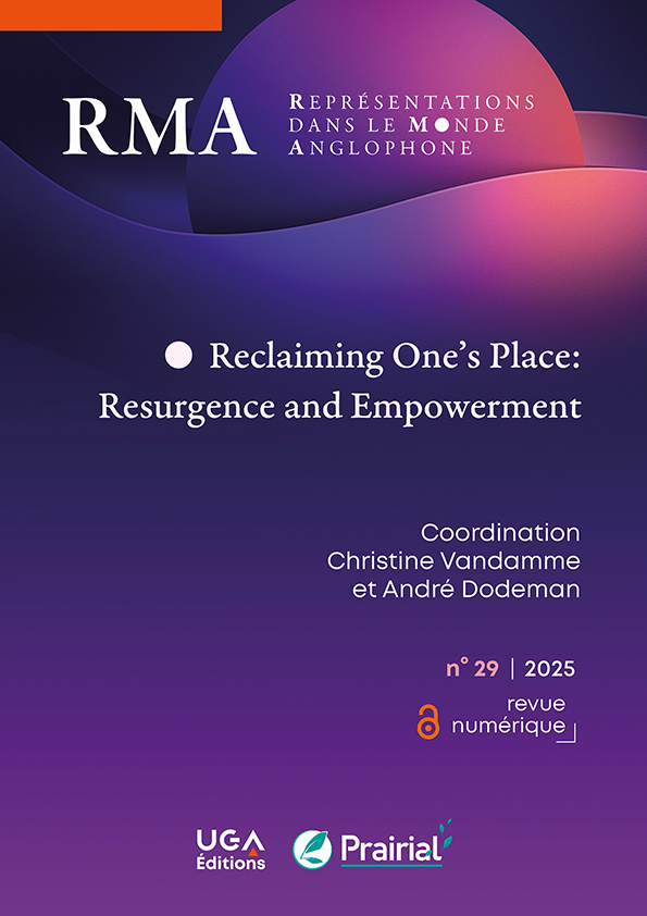 RMA n° 29 / 2025